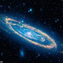 Andromeda gravatar image