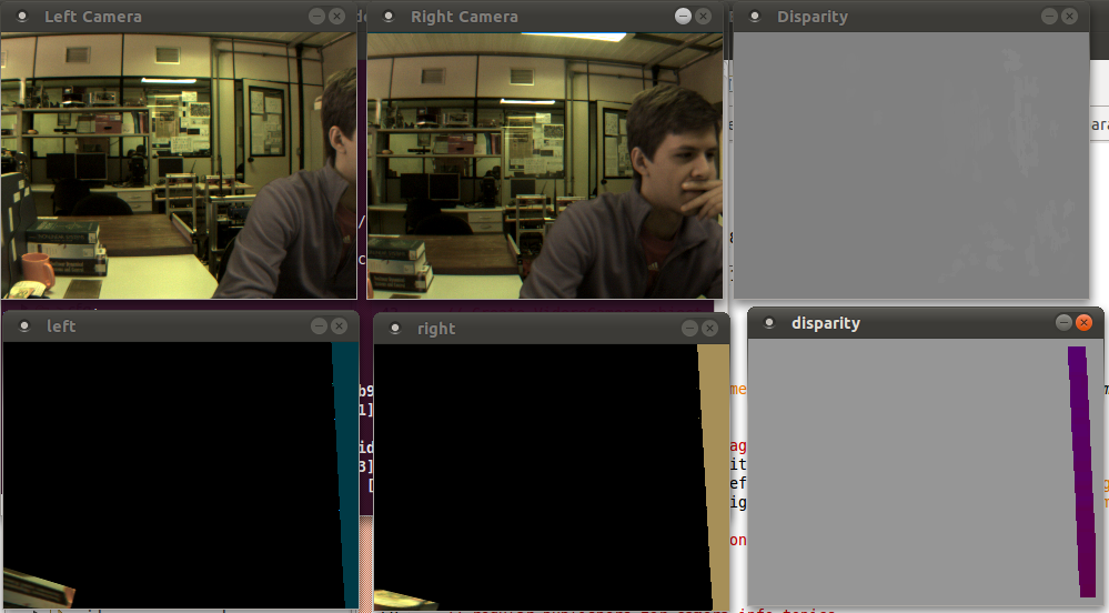 Images before and after stereo_image_proc