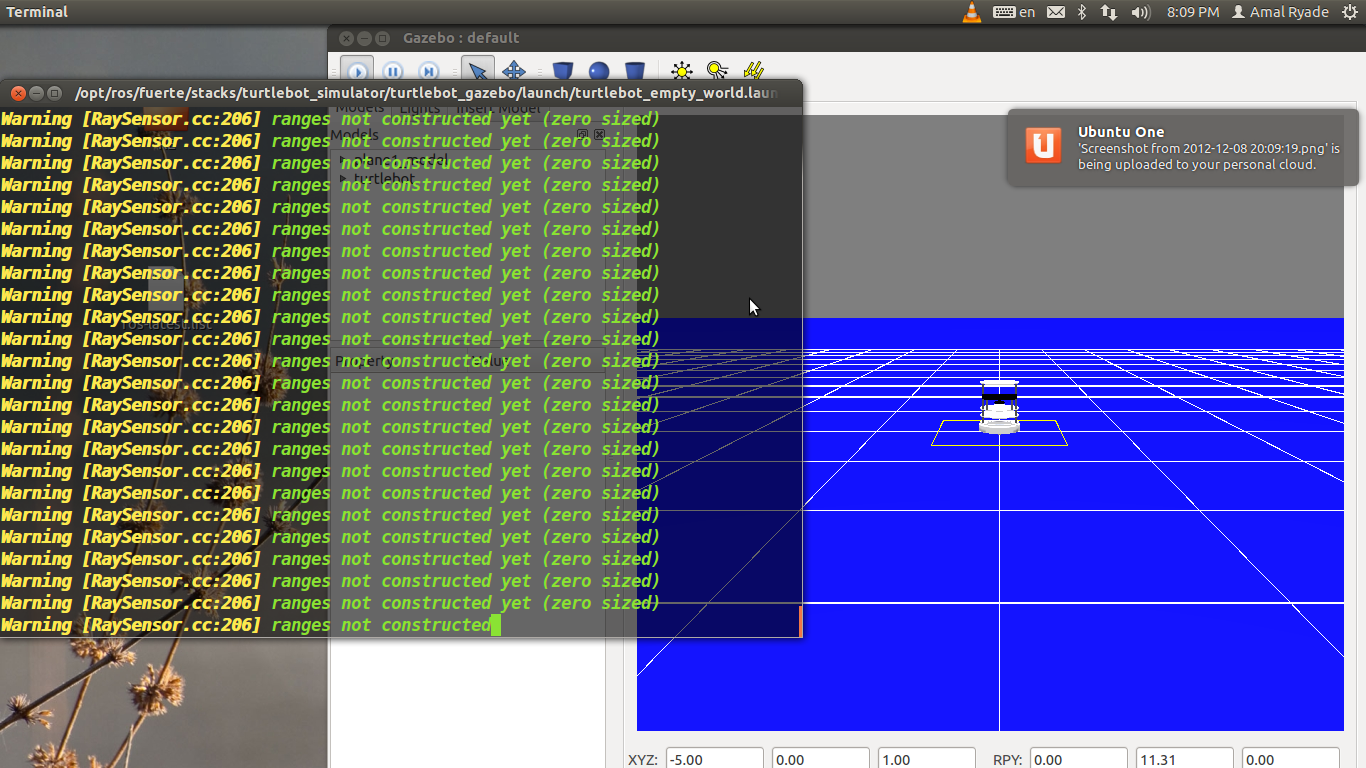 Raysensor